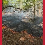 Crashed drone sparks fire in Burke County woods