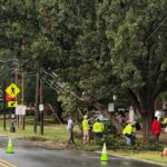 Storms topple trees, power lines in Davidson